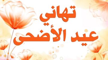 "للأصدقاء والأهل" عبارات تهنئة عيد الأضحى المبارك 2024 ورسائل معايدة قصيرة