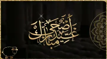 "من العايدين والفايزين.. من السالمين والغانمين" تغريدات تهنئة عيد الأضحى المبارك 2024 رسائل وعبارات معايدة للأهل والأصدقاء