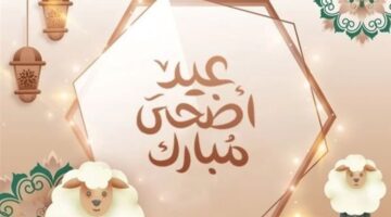 بشري سارة..تعلن الحكومة الجزائرية عن موعد عيد الأضحى المبارك في الجزائر والعطلات الرسمية طوال العام