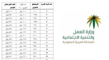 كم مبلغ الضمان الاجتماعي المطور بعد الزيادة؟ وزارة الموارد تجيب مع خطوات الاستعلام عن الأهلية