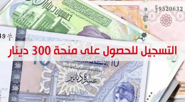 "بخطوات بسيطة" التسجيل في منحة 300 دينار تونس 2024
