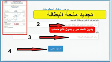 "هنا".. تفاصيل تجديد منحة البطالة 2024 كل 6 أشهر من الهاتف