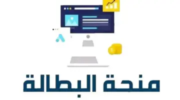 "الوكالة الوطنية للتشغيل" تحدد خطوات تجديد منحة البطالة في الجزائر 2024