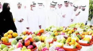 انطلاق فعاليات مهرجان المانجو خورفكان السنوي فى نسخة الثالثة