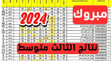 "epedu.gov.iq" رابط نتائج الثالث متوسط 2024 الدور الاول عبر موقع نتائجنا الوزاري