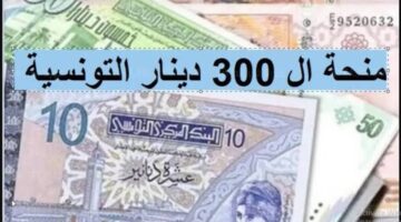 "قبل الغلق سجل الآن".. صرف منحة 300 دينار تونس في شهر يوليو 2024 عبر موقع وزارة الشؤون الأجتماعية التونسية eservices.social.gov.tn