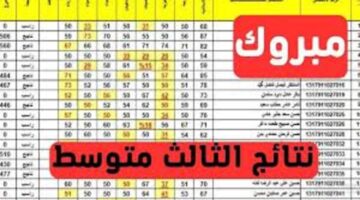 بعد طول انتظار أخيرا ظهرت نتيجة الثالث المتوسط العراق عبر موقع نتائجنا وموقع وزارة التربية العراقية من هنا
