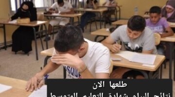bem onec dz نتائج البيام 2024 استظهر نتائج شهادة التعليم المتوسط عبر وزارة التربية الوطنية الجزائرية