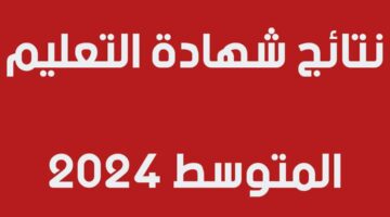 "كشف النقاط" رابط نتائج البيام 2024 الجزائر موقع الديوان الوطني للامتحانات والمسابقات
