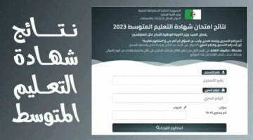 الآن .. نتائج البيام 2024 bem onec dz شهاة التعليم المتوسط عبر موقع الديوان الوطني للامتحانات والمسابقات