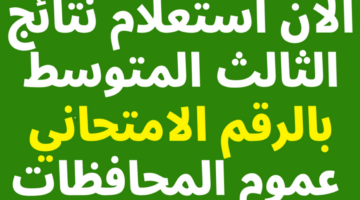 رابط pdf سترفع نتائج الثالث متوسط 2024 الدور الأول بالكشف results.mlazemna