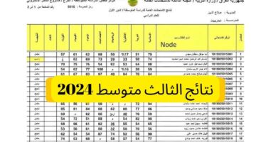برابط مباشر.. نتائج الثالث متوسط 2024 الموصل الدور الأول عبر موقع نتائجنا