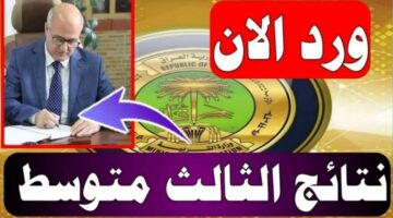 "صدرت" نتائج الثالث متوسط 2024 دور أول results.mlazemna موقع نتائجنا الوزاري