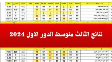 نتائج الثالث متوسط 2024 الدور الاول محافظة بابل عبر موقع نتائجا وموقع وزارة التربية والتعليم العراقية