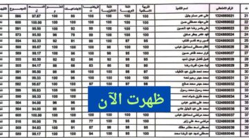 درايف PDF.. نتائج الثالث متوسط 2024 الدور الاول موقع نتائجنا results.mlazemna بالرقم الامتحاني