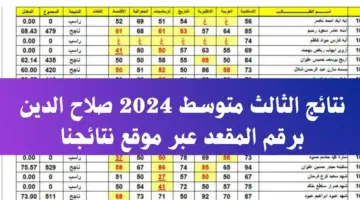 استعلم عن نتائج الثالث متوسط 2024 صلاح الدين بالرقم الامتحاني عبر موقع نتائجنا الالكتروني