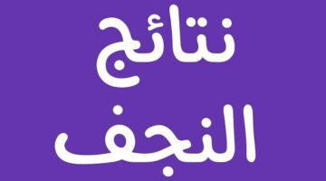 ظهرت بالدرجات الان .. رابط نتائج الثالث المتوسط النجف الأشرف الدور الأول 2024 موقع نتائجنا