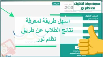 برابط مباشر الحصول على نتائج الطلاب عبر نظام نور 2024 بخطوات بسيطة moe.gov.sa