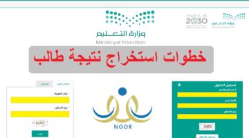 رابط الاستعلام عن نتائج الطلاب نظام نور 1445 برقم الهوية وكيفية حساب النسبة المئوية