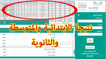 "نتائجي".. طريقة الاستعلام عن نتائج الفصل الدراسي الثالث عبر نظام نور 2024
