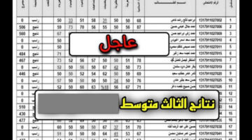 ظهرت "الآن الكرخ".. هُنا نتائج الكرخ الثالث المتوسط 2024 الدور الأول عبر موقع الوزارة epedu.gov.iq