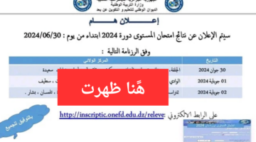onefd.edu.dz.. موقع الإطلاع على نتائج امتحان المراسلة 2024 اثبات المستوى جميع الولايات