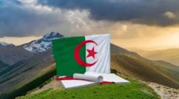 خطوة بخطوة طريقة الاستعلام عن نتائج شهادة التعليم المتوسط عبر الديوان الوطني
