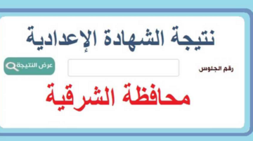 استعلم الآن.. نتيجة الاعدادية محافظة الشرقية 2024 بالاسم ورقم الجلوس