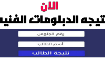 " استعلم الآن" عبر رابط بوابة التعليم الفني نتيجة الدبلومات 2024 الدور الأول