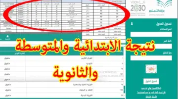 رسميًا عبر نور .. ظهور نتائج الفصل الدراسي الثالث 1445ه‍ للمرحلة الابتدائية والمتوسطة والثانوية