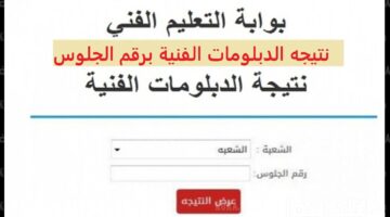 لينك شغال.. رابط نتيجة الدبلومات الفنية 2024 عبر بوابة التعليم الفني صناعي تجاري وزراعي