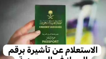 اعرف الآن.. خطوات الاستعلام عن تأشيرة السعودية والشروط المطلوبة 1446