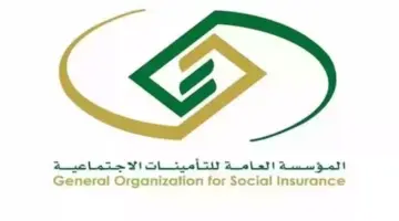 توضيح هام من "التأمينات الاجتماعية" بشأن زيادة تعويض الأمومة شهر إضافي في حالة واحدة