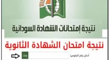 "التربية والتعليم" توضح رابط استعلام نتائج شهادة الثانوية 2024 السودان