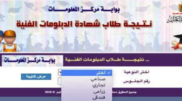 لينك fany.emis.gov.eg.. بوابه مركز المعلومات نتيجه الدبلومات الفنيه 2024 بالإسم أو رقم الجلوس