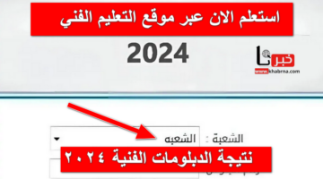 صناعي تجاري فندقي .. استعلم عن نتيجة الدبلومات الفنية 2024 عبر رابط الوزارة الرسمي fany.emis.gov.eg