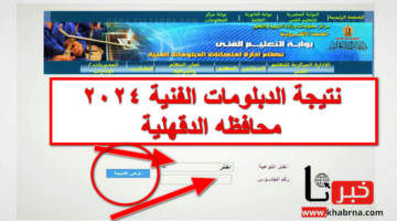 احصل على نتجتك .. نتيجة الدبلومات الفنية 2024 محافظه الدقهلية وجميع المحافظات عبر موقع التعليم الفني