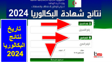 التربية الجزائرية تُحدد تاريخ نتائج البكالوريا 2024 الجزائر وآلية الاستعلام عنها عبر موقع الديوان الوطني