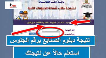 fany.emis.gov .. استعلم حالاً عن نتيجة دبلوم الصنايع برقم الجلوس 2024 الدور الأول عبر بوابة التعليم الفني
