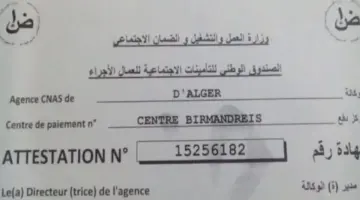 من أين أحصل على رقم الضمان الاجتماعي بطاقة الشفاء؟ " الصندوق الوطني الجزائري CNAS" يوضح