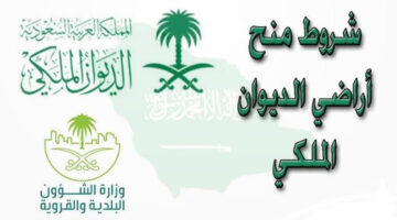 منحة أرض من الديوان الملكي.. تعرف على الشروط وطريقة التسجيل