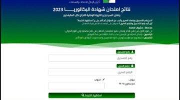 متى تظهر نتائج البكالوريا في الجزائر 2024؟.. وهذه خطوات الاستعلام عنها