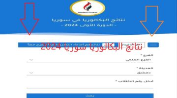هُنا.. رابط moed.gov.sy نتائج البكالوريا سوريا 2024 حسب الاسم فقط الدورة الأولي