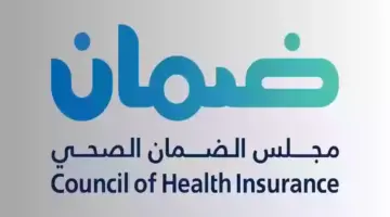 بدء تطبيق قرار التأمين على العمالة المنزلية المسجلة من أصحاب الأعمال في هذه الحالة