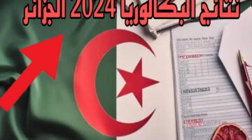 هُنـــا نتائج البكالوريا 2024 الجزائر عبر موقع bem.onec.dz وزارة التربية الوطنية في جميع الولايات "استعلم الآن"