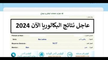"وزارة التربية بالمغرب تضع".. رابط نتائج البكالوريا 2024 في المغرب men.gov.ma