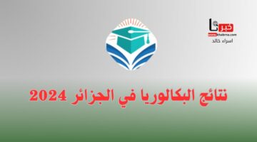 جاري الرفع.. الرابط الرسمي لاستظهار كشف bac onec dz نتائج البكالوريا 2024 