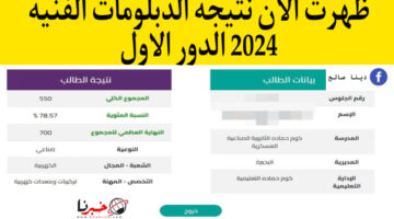 من هنــا نتيجة الدبلومات الفنية 2024 الدور الاول nategafany emis gov eg