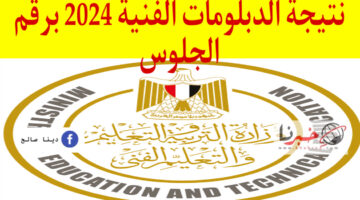 الموقع الرسمي نتيجة الدبلومات الفنية 2024 من هنــا برقم الجلوس fany emis gov