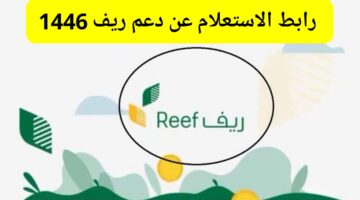 "برقم الهوية" رابط الاستعلام عن دعم ريف 1446 شروط الاستحقاق ومبلغ الإعانة